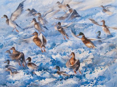 suluboya ördek sürüsü illüstrasyon