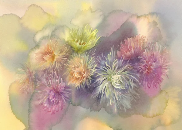 Asters bouquet pastel aquarelle — Photo