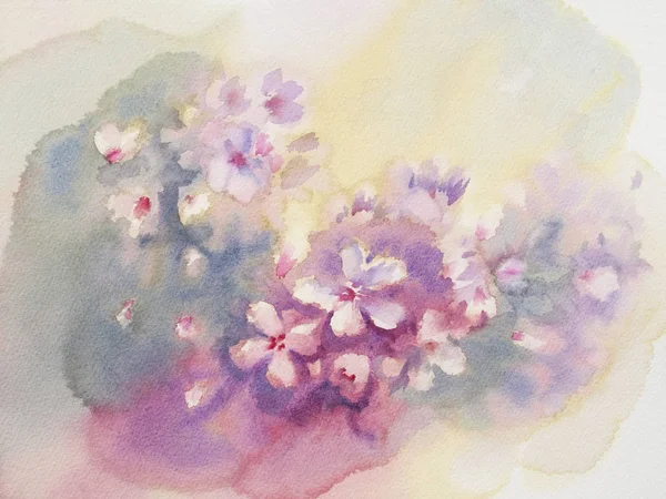 Sakura flower color watercolor — Stock Photo, Image