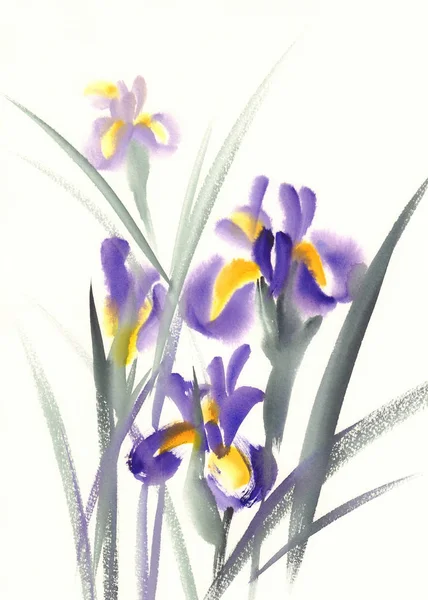 Iris bouquet esboço aquarela — Fotografia de Stock