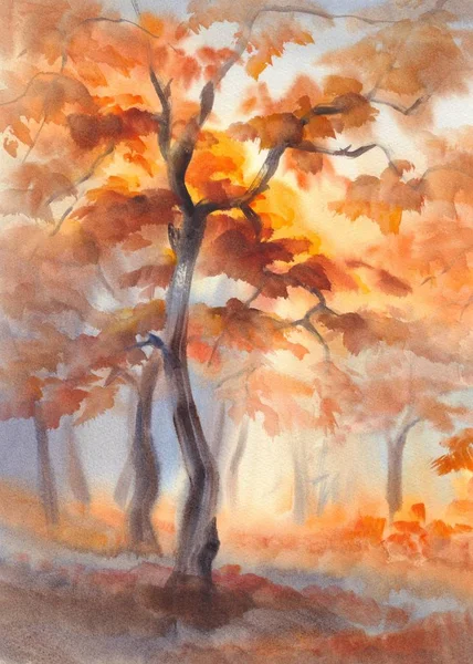Raios de sol na aquarela floresta de outono — Fotografia de Stock