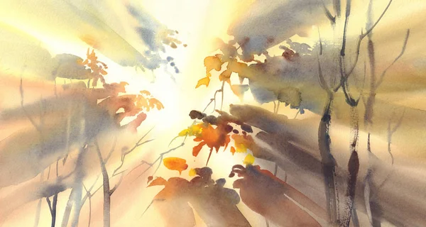 De stralen van de zon in de gele bos-aquarel — Stockfoto