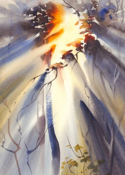 Karanlık Orman suluboya güneş ışınları