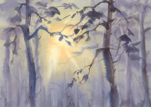 De stralen van de zon in de mistige bos-aquarel — Stockfoto