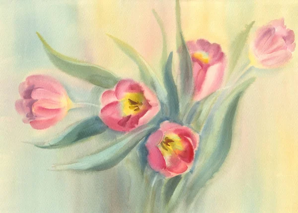 Rosa tulipas aquarela — Fotografia de Stock