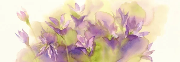 Pink colchicum watercolor background — Stock Photo, Image