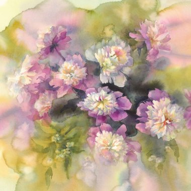 pembe ve beyaz peonies suluboya buket