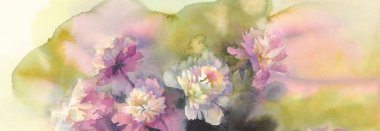 pembe ve beyaz peonies suluboya buket