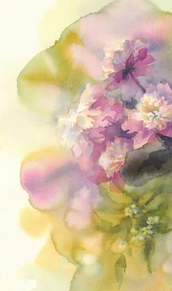 ピンクと白の牡丹水彩画の花束 — ストック写真
