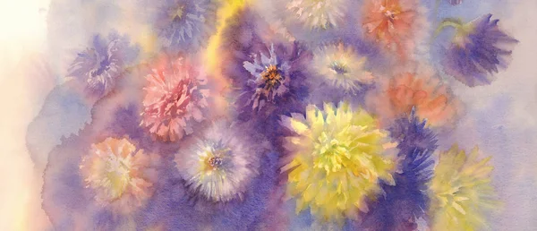 Цветные астеры акварель — стоковое фото