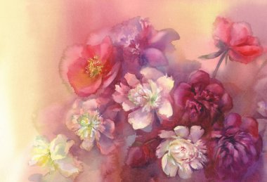 mor ve beyaz peonies suluboya buket
