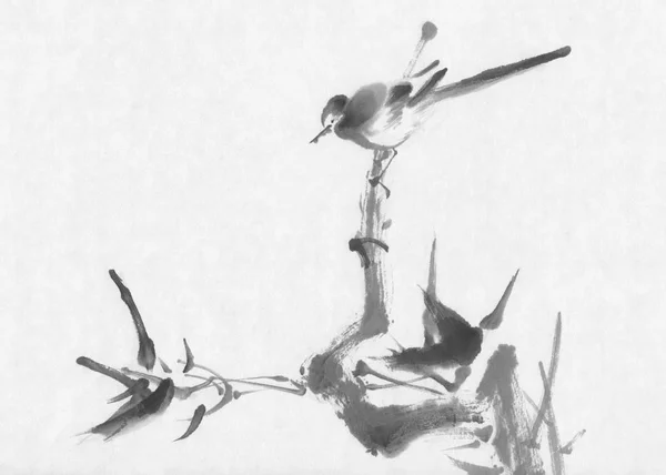 Kuş sumi-e mürekkep boyama — Stok fotoğraf