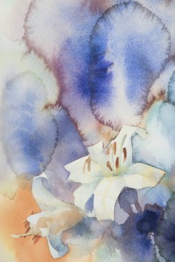 Beyaz Zambak suluboya arka plan