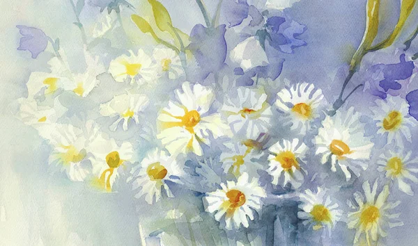 Camomile watercolor background — Stock Photo, Image