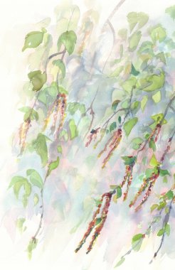 Huş ağacı dalları suluboya arka plan