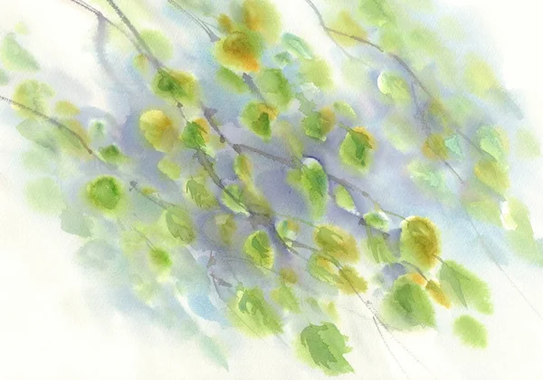 桦树枝水彩背景 — 图库照片