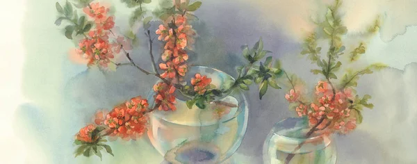 Branches of blooming quince still-life watercolor — Stock Photo, Image