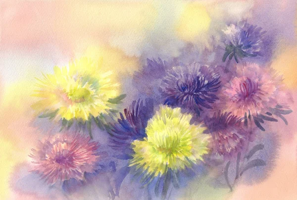 Cor asters fundo aquarela — Fotografia de Stock