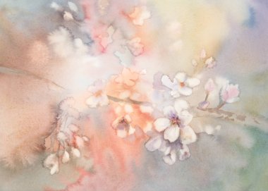 Sakura bloom suluboya