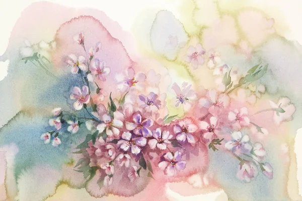 Aquarelle fleur de sakura — Photo