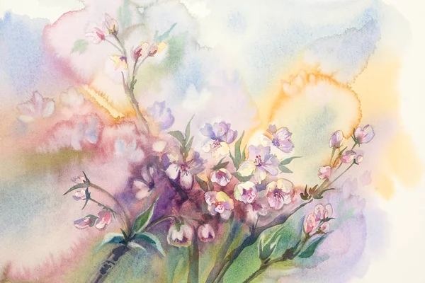 Aquarelle fleur de sakura — Photo