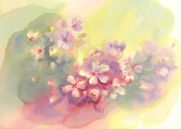 Sakura bloom watercolor — Stock Photo, Image
