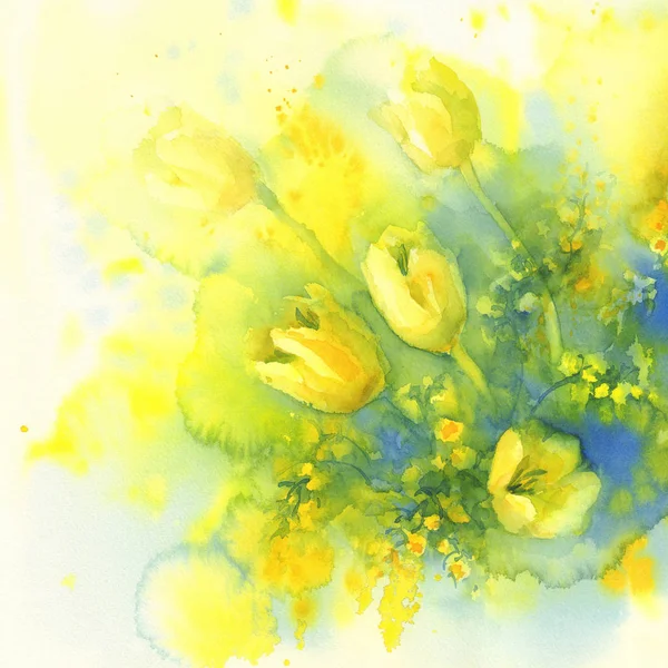 Tulpen en mimosa bloem aquarel — Stockfoto