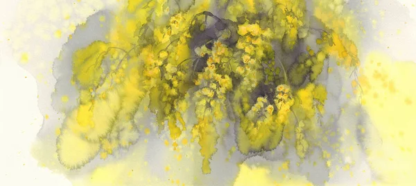 ミモザの花の水彩画 — ストック写真