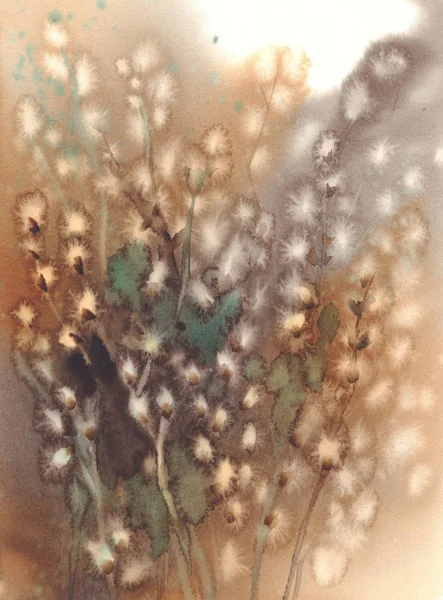 Cipki wierzbowe gałązki akwarela brązowy — Zdjęcie stockowe