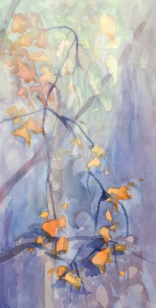 Podzimní břízy akvarel — Stock fotografie