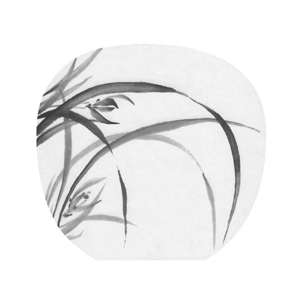 Дика орхідея чорного чорнила живопис круглий фон — стокове фото