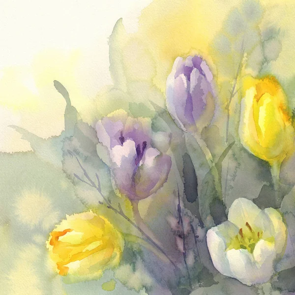 Pastell tulpaner akvarell bakgrunden — Stockfoto