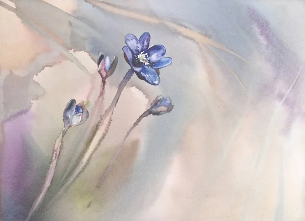 Violetta blommor akvarell bakgrunden — Stockfoto