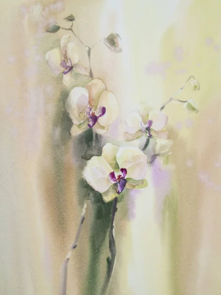 White orchid watercolor background — Stock Photo, Image