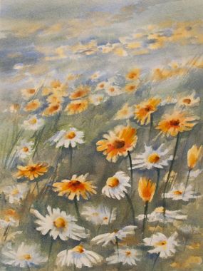 Camomiles çayır suluboya