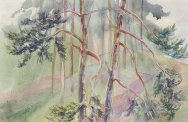 çam ormanı suluboya