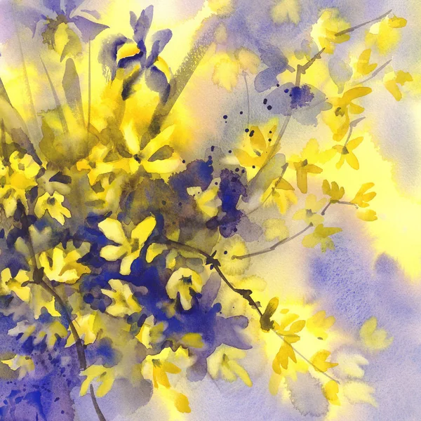 Forsythia and Iris flowers watercolor background — Stock Photo, Image