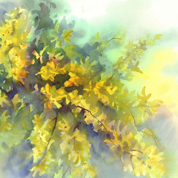 Ακουαρέλα φόντο forsythia κίτρινα λουλούδια — Φωτογραφία Αρχείου