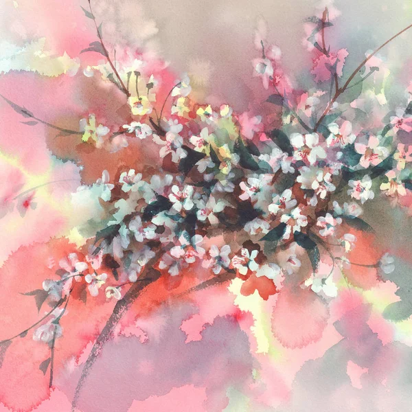 Sakura branches in bloom watercolor background — Stock Photo, Image