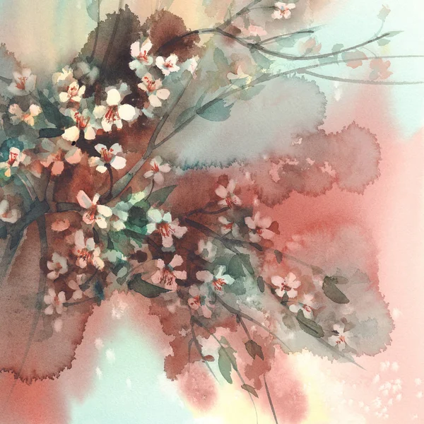 Ветви сакуры в цвету акварели фон — стоковое фото