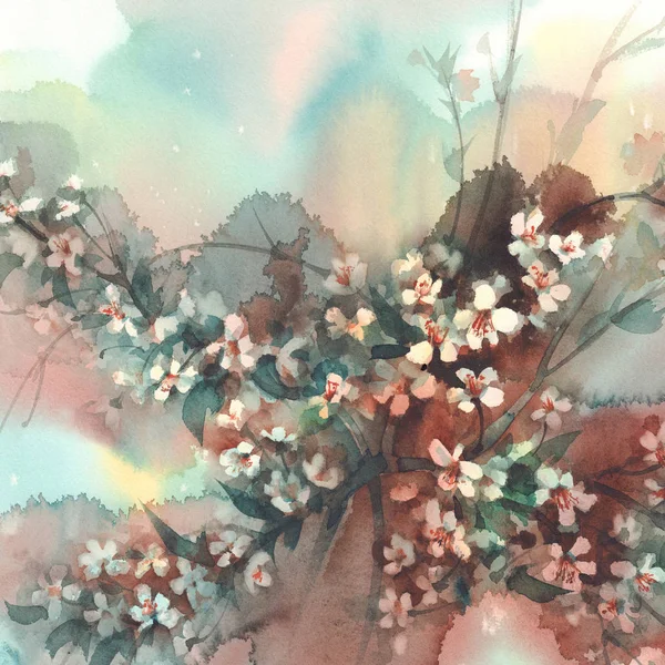 Sakura branches in bloom watercolor background — Stock Photo, Image