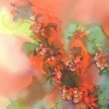 çiçek açan Ayva natürmort suluboya