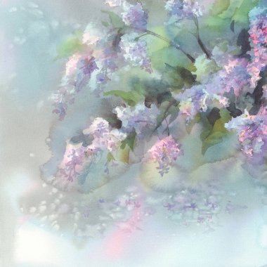 Leylak çiçeği suluboya