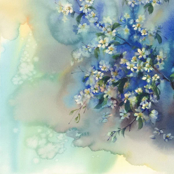 花水彩背景の桜の枝 — ストック写真