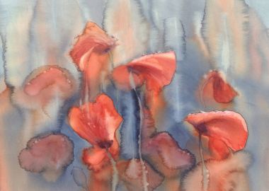 yağmur suluboya haşhaş