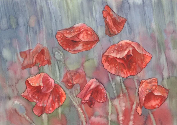 yağmur suluboya haşhaş