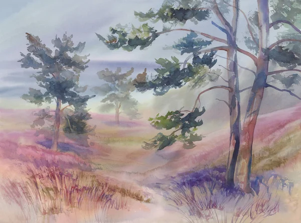 Сосны на летнем лугу акварельный фон — стоковое фото