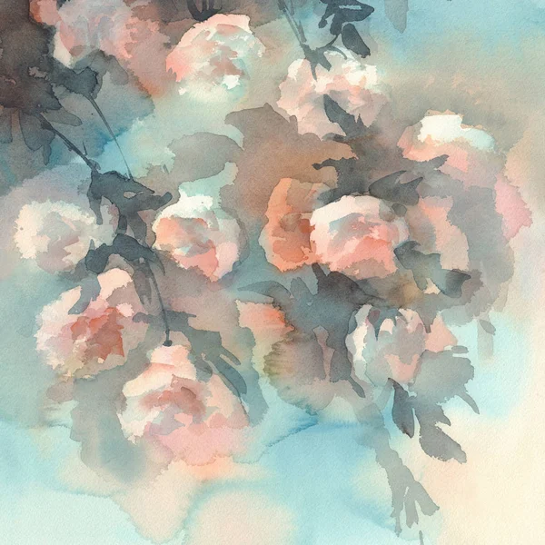 Light roses watercolor background — Stock Photo, Image