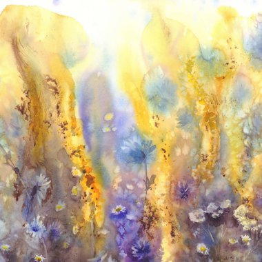 Ağustos çayır çiçek suluboya arka plan