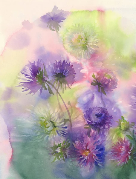 アスター水彩の色の背景の花束 — ストック写真